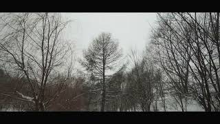 Canon Rf 16Mm F2.8 Stm Short Footage Sample