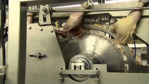 Meyn® Anatomical Leg processor HY