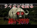 【ゆっくり生物】バイソンが黒い死神と言われる理由　ライオンも恐れる武器とは…！