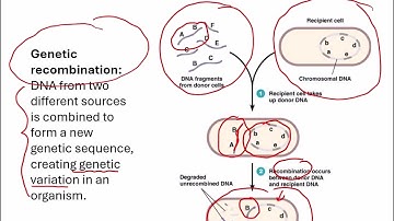 Openstax Micro Ch. 11 Video Part 05a - Section 11.6