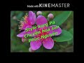 Style chuyện hoa sim korg Pa