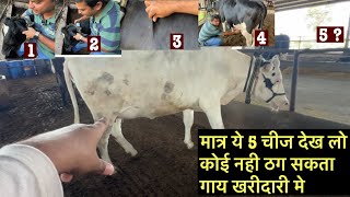 गाय खरीदने से पहले सावधान ⚠️cow purchase time/gay kharidne se pahle