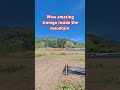 ANG TRAIN NA PUMASOK SA BUNDOK