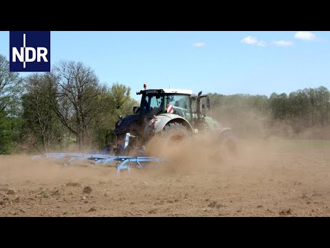 Dürre im Norden: So trocken sind Felder und Wälder | NDR | Doku | 45 Min