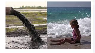 PIxlr X on Mac or Windows -  Contrasting images side by side (Part 2/3) screenshot 2
