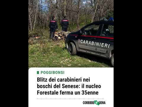 Video Blitz dei carabinieri nei boschi del Senese: il nucleo Forestale ferma un 35enne
