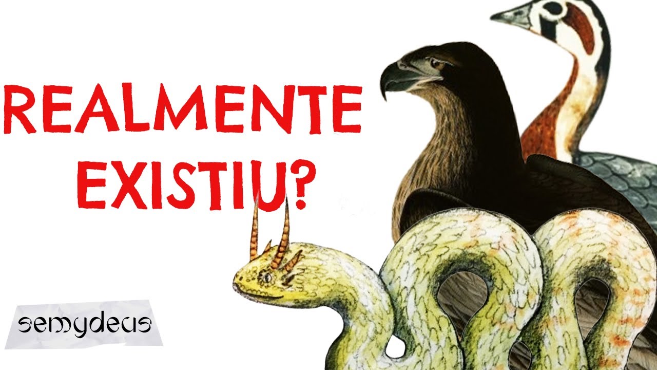 Animais Misteriosos na História