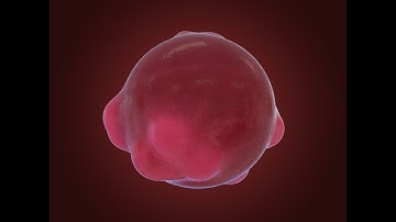 GeoBoil Effect in Cinema 4d No Plugins Need