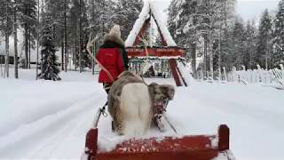 1 km hyperlapse: reindeer ride with Santa Claus Reindeer in Rovaniemi, Lapland Finland Arctic Circle
