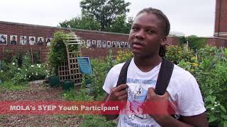The Summer Youth Employment Program SYEP (MOLA) 2017