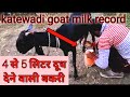 सबसे ज्यादा दूध देने वाली बकरी 🐐 🐐 / katewadi sheli palan in Maharashtra / katewadi goat farming