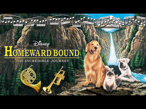 Homeward Bound: The Incredible Journey || French Horn & Trumpet Cover