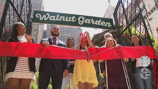 Popup cocktail-beer garden Walnut Garden reopens in Philadelphia after shutdown