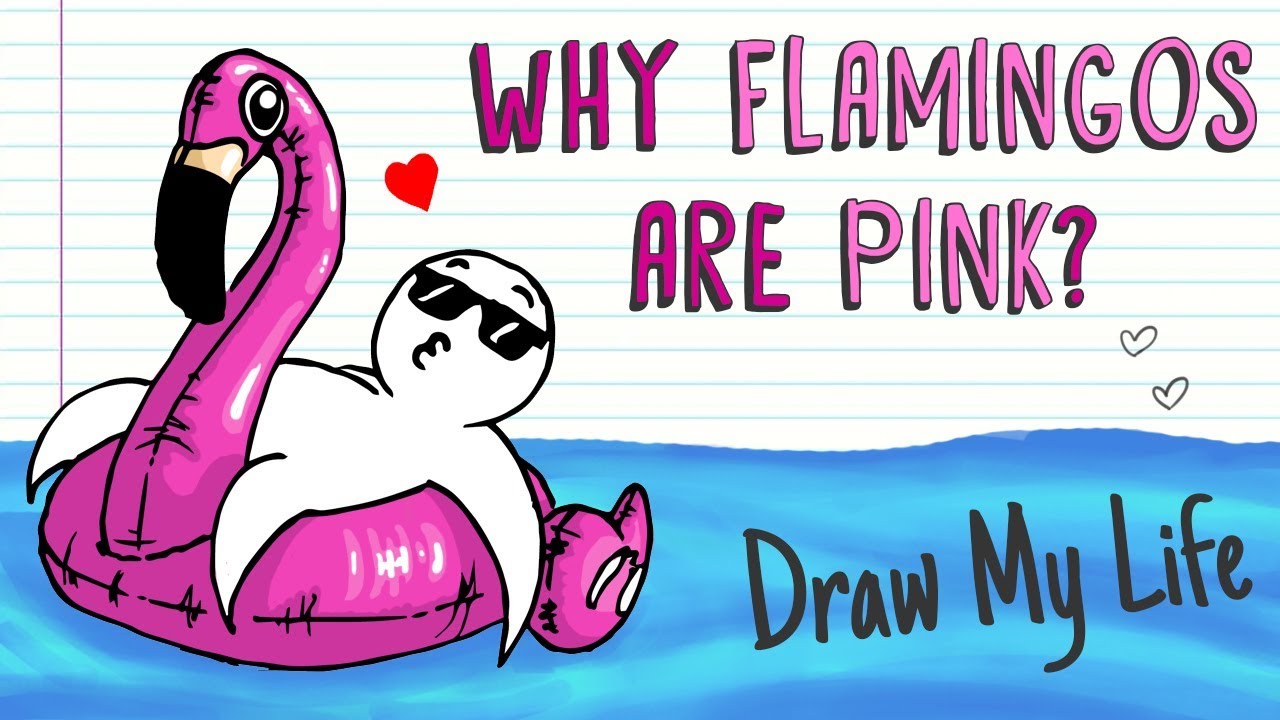 flamingo youtube roblox draw my life
