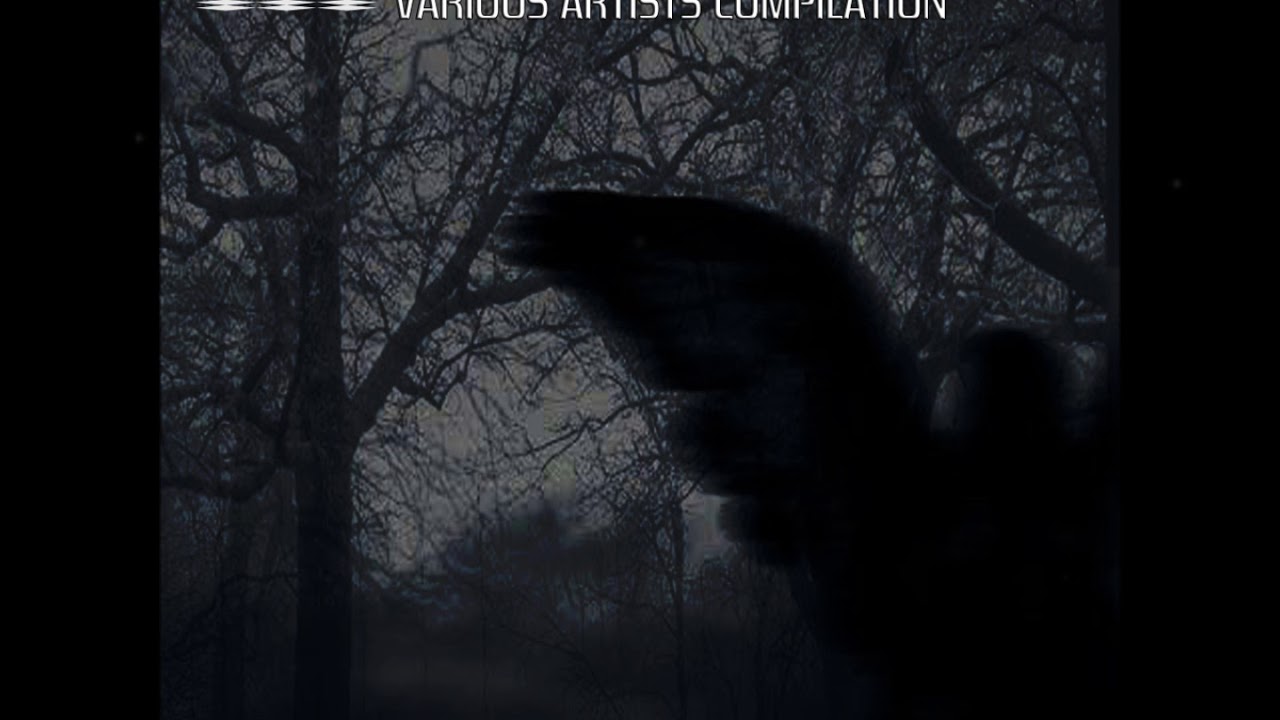 Rodrigo Ferran - 1 Year MTZ Noir Records (14-06-2018)