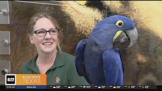 Fort Worth Zoo opens new learning center for visitors