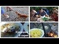 Путешествие в Кувандык 6 серия: Суп с грибами на костре, шашлык из курицы.