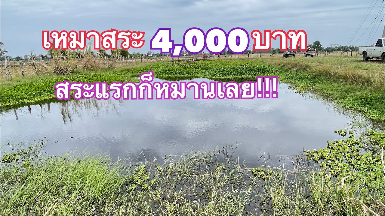 เหมาสระ 4,000 บาท  สระแรกแห่งปี!!
