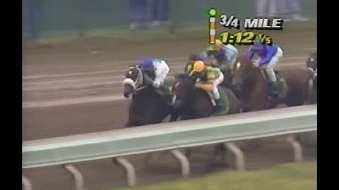 Thumbnail of 1990 Blue Grass Stakes : ABC Broadcast