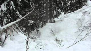 Snowboarding Tree Grind Fail