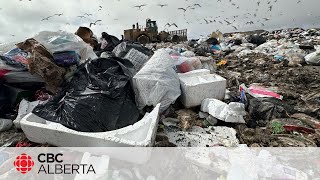 How Calgary is trying to recycle Styrofoam