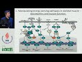 Nutritional strategies to enhance mitochondrial adaptation to endurance exercise