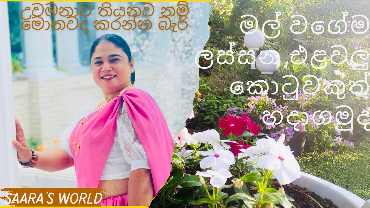 මේ ලැබෙන මානසික සුවය මිල කරන්න බෑ ✨❤️#mornigvibes #gardendecor #nature #mylife 