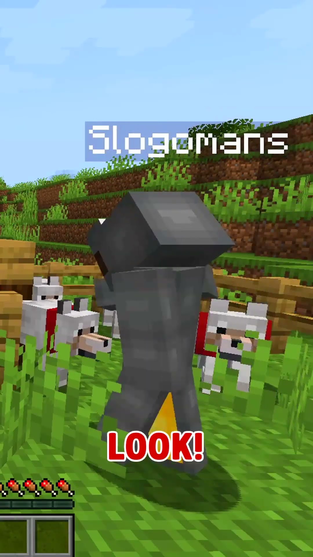 Minecraft Dog Morph Hide and Seek!
