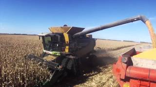 Go pro Corn harvest 2014