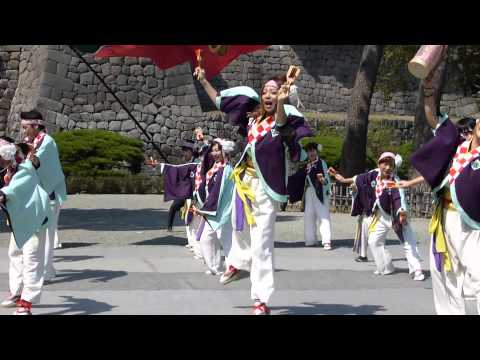 踊って弥雷！／本丸会場／ODAWARA えっさホイおどり2013