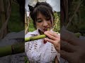 single mother with sugarcane farming skills #bushcraft #comedy #singlemother #survival #shorts