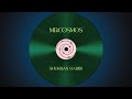Mr.Cosmos - Shukran habibi