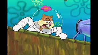 Sandy cheeks saying no you aint for 30 seconds.