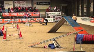 Wac Ifsc 2016, Skrypytsia Brend, Agility Individual