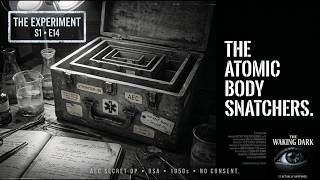 Project Sunshine: They Stole From the Dead to Save the Living