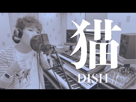 猫／DISH//（歌ってみた＋アレンジした）