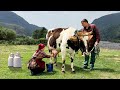 Un plat  base de lait de village fait maison  vie calme en montagne