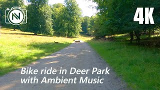 4K Virtual Bike & Relaxing Ambient Music - The Hermitage Castle in the Deer Park - Use Headphones 🎧