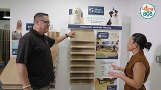 Oahu SPCA and American Floor & Home host pet adoption event