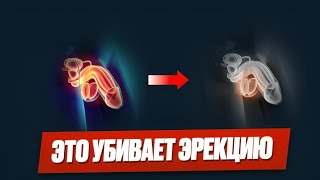 7 Врагов Мужских Яичек Как Сохранить Своё Мужское Здоровье.