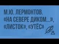 М.Ю. Лермонтов. «На севере диком…», «Листок», «Утес». Видеоурок по литературе 6 класс