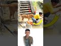 رآه متعب ا لم يقل شيئ ا لم يركض للظل ليحتمي بل عاد إليه ومعه خوذة كأنما يقول لن أرتاح حتى ترتاح رآه متعب ا لم يقل شيئ ا لم يركض للظل ليحتمي بل عاد إليه ومعه خوذة كأنما يقول لن أرتاح حتى ترتاح