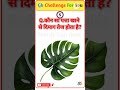 GK Question🤔| GK In Hindi | GK Question and Answer | GK Quiz | सामान्य ज्ञान प्रश्न |@nishfy_Ok #gk