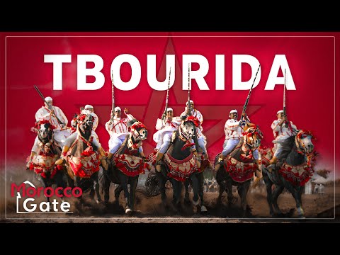 Exploring Morocco S Tbourida A Journey From Battlefields To Unesco Heritage 