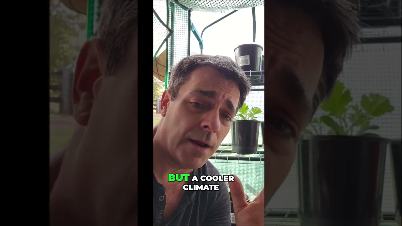 Unlock Your Garden's Potential: Extend Growing Season with Greenhouses!