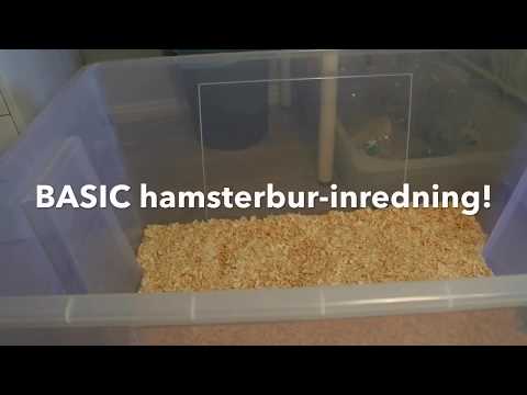 Video: Hur Man Gör Hamsterburar