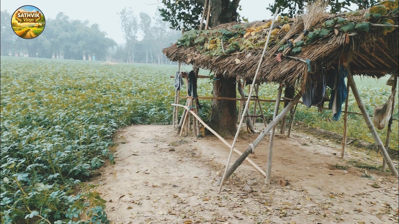 Dhaniya ki kheti 😱