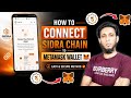 How To Connect Sidra Chain To MetaMask Wallet | Easy & Secure Method (Step By Step)