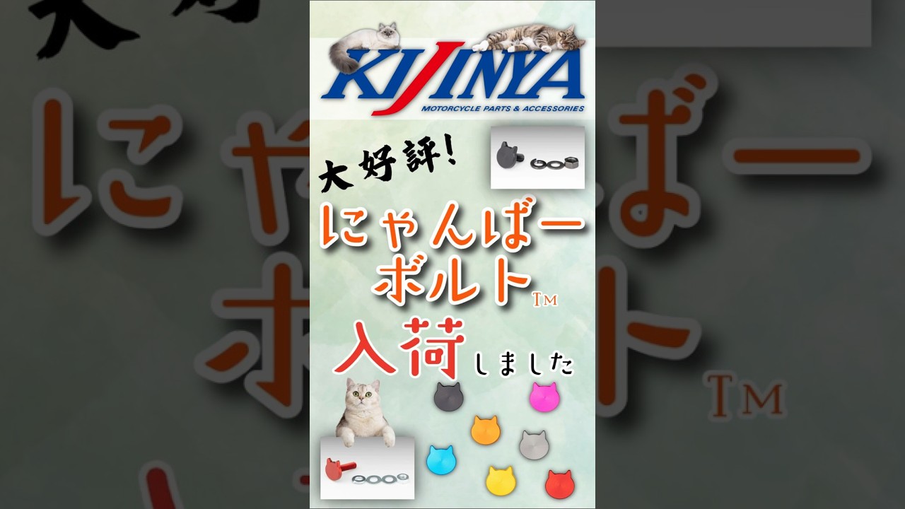 【専用】売切れました ご好評につき完売しておりました【にゃんばーボルト】が再入荷いたし