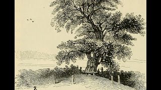 Full The Charter Oak Guide